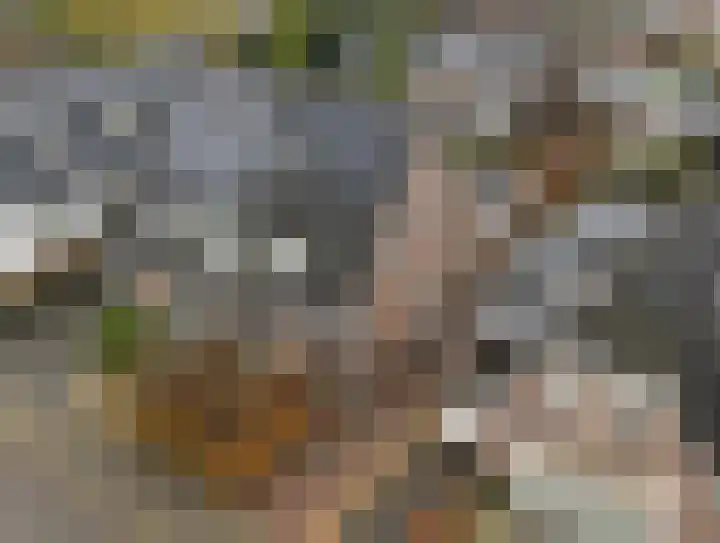 1e Wormenseweg 201 Apeldoorn thumbnail 38