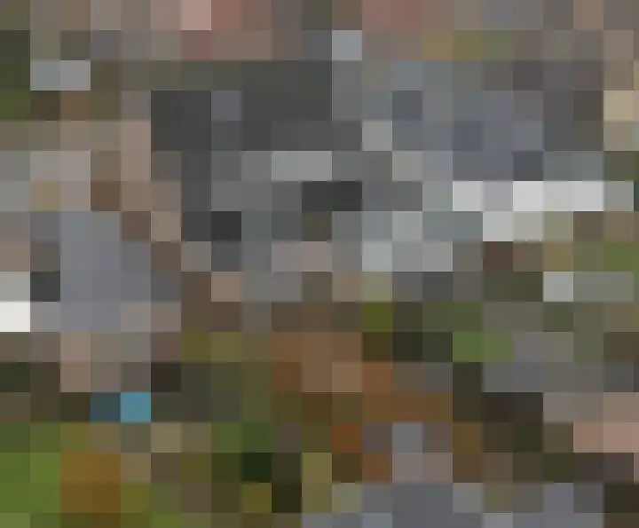 1e Wormenseweg 201 Apeldoorn thumbnail 39