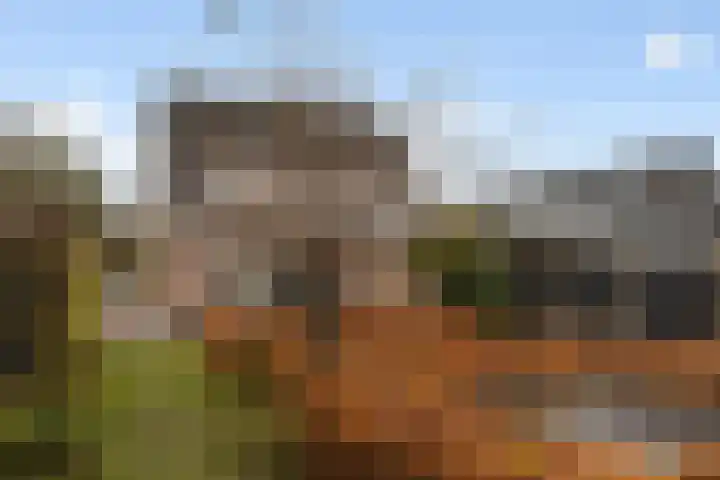 1e Wormenseweg 201 Apeldoorn thumbnail 5