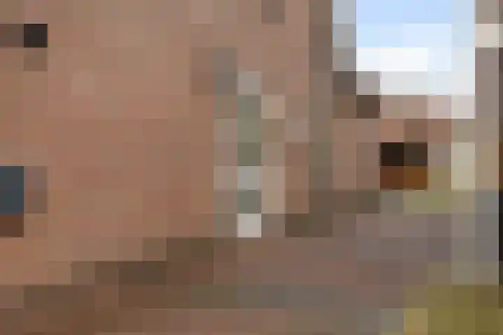 1e Wormenseweg 201 Apeldoorn thumbnail 8