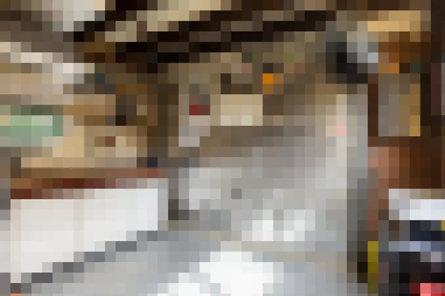 1e Wormenseweg 228 Apeldoorn thumbnail 35