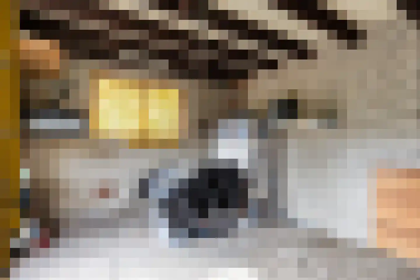 1e Wormenseweg 228 Apeldoorn thumbnail 36