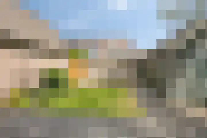 1e Wormenseweg 43 Apeldoorn thumbnail 16