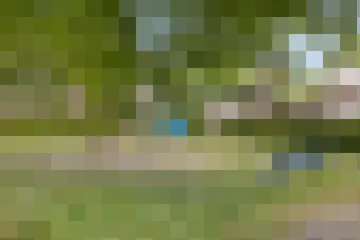 1e Wormenseweg 43 Apeldoorn thumbnail 29