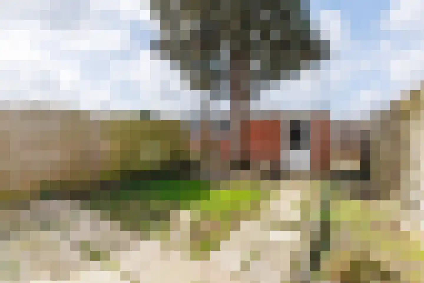 1e Wormenseweg 506 Apeldoorn thumbnail 4