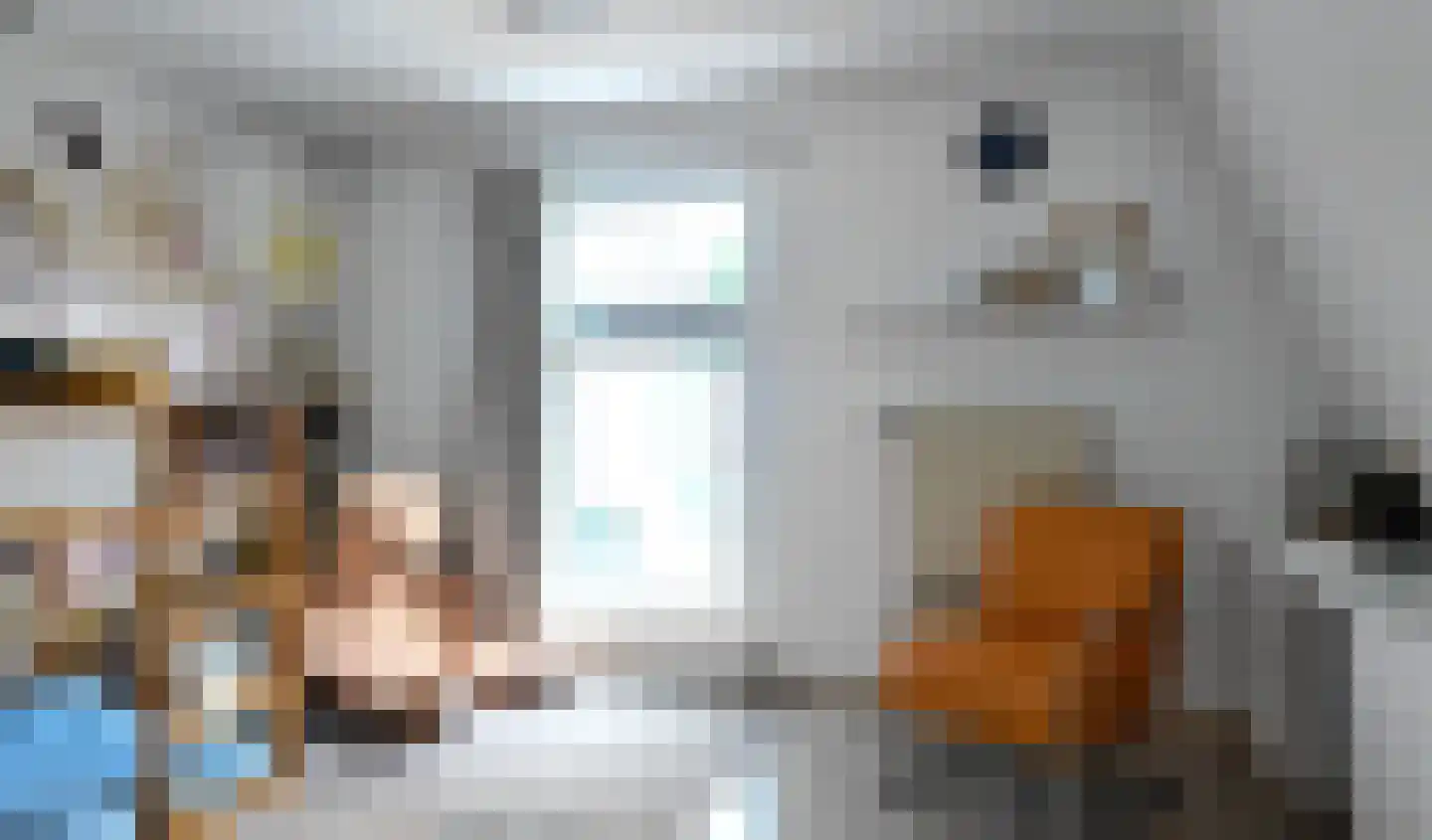 1e Wormenseweg 52 Apeldoorn thumbnail 23