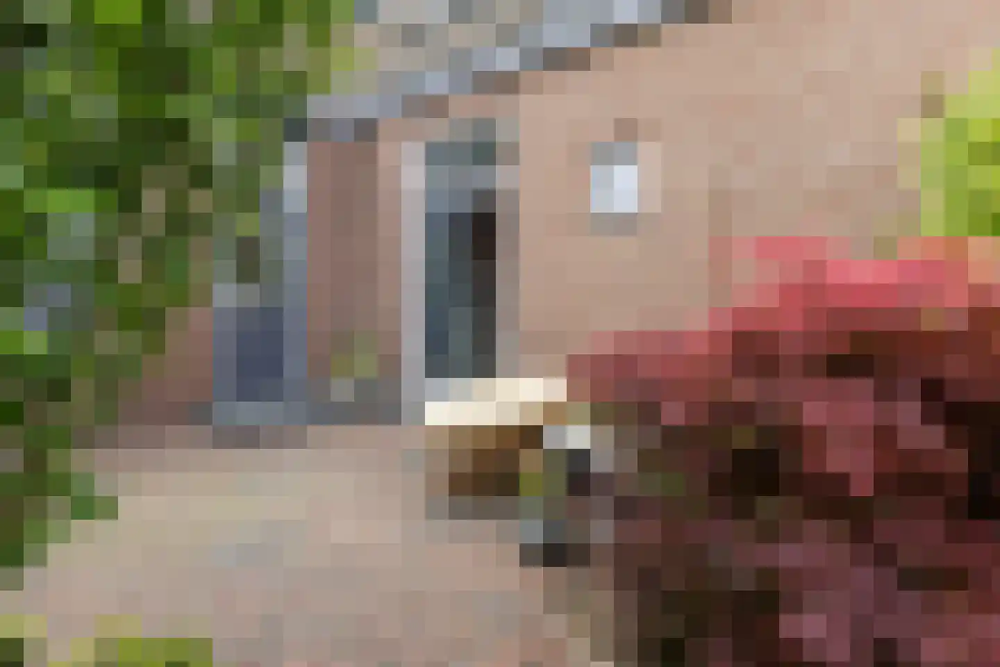 1e Wormenseweg 52 Apeldoorn thumbnail 27
