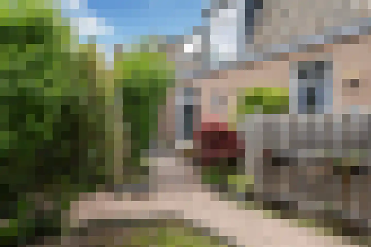 1e Wormenseweg 52 Apeldoorn thumbnail 28
