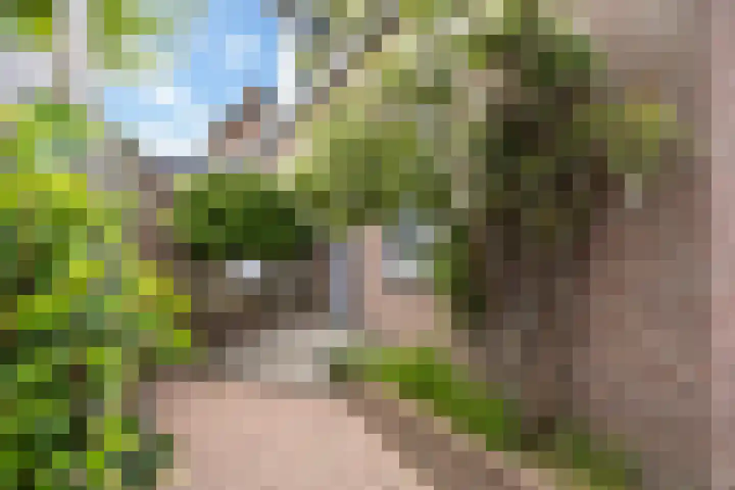 1e Wormenseweg 52 Apeldoorn thumbnail 34