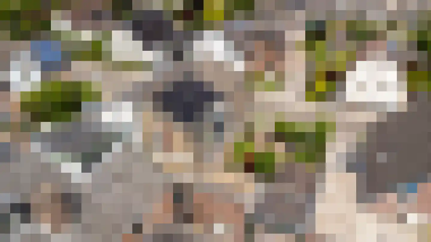 1e Wormenseweg 52 Apeldoorn thumbnail 35