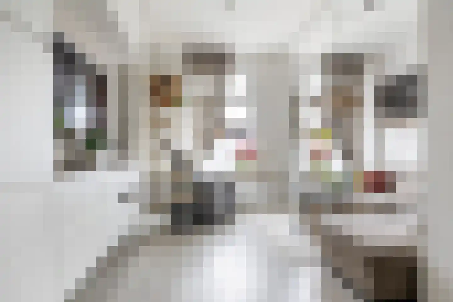 1e Wormenseweg 52 Apeldoorn thumbnail 9