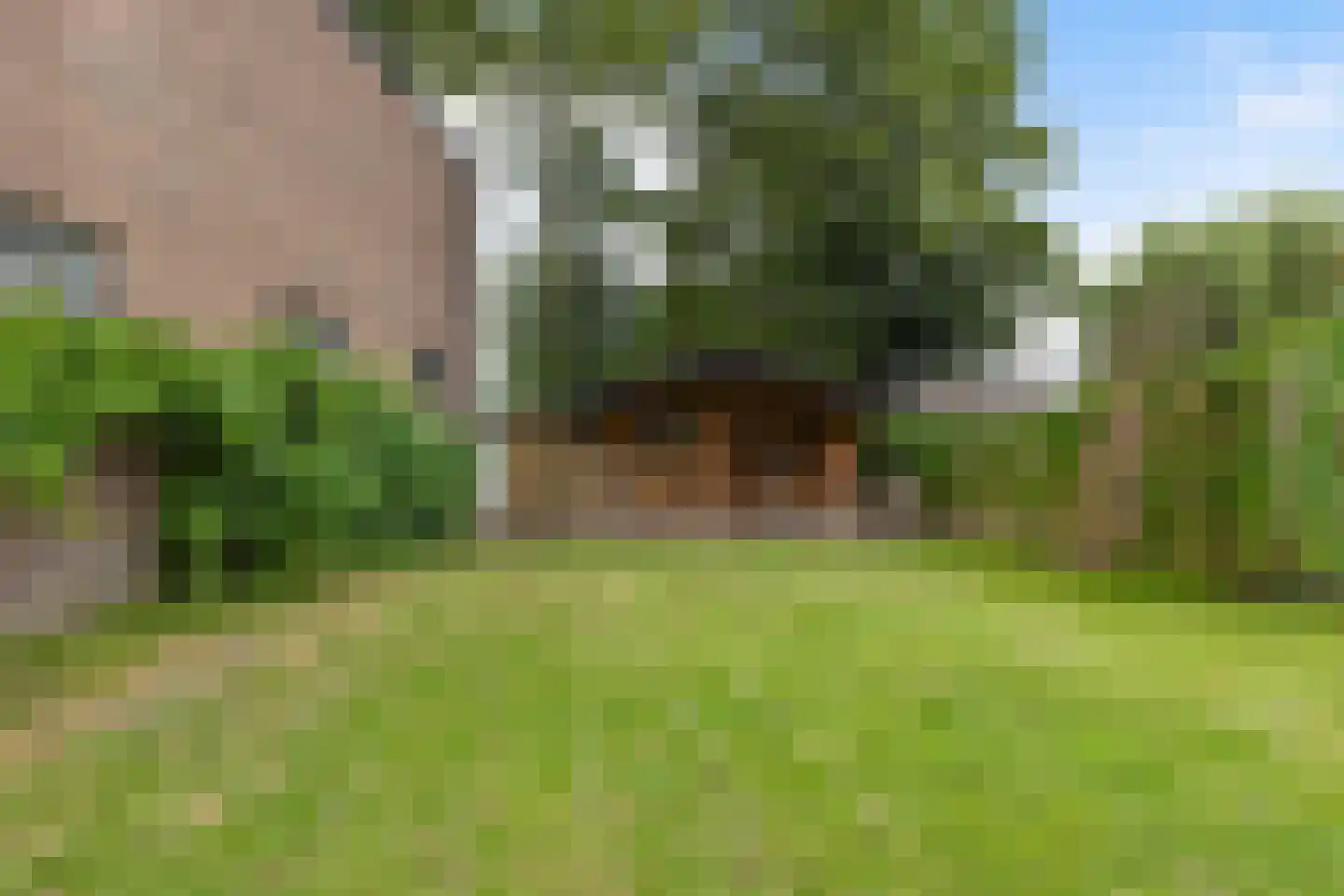 1e Wormenseweg 81 Apeldoorn thumbnail 24
