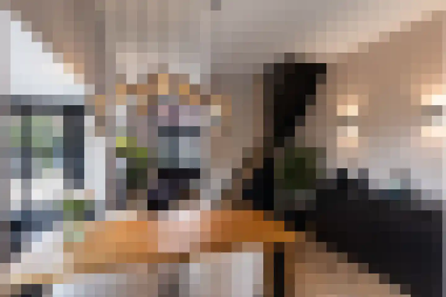 1e Wormenseweg 81 Apeldoorn thumbnail 4