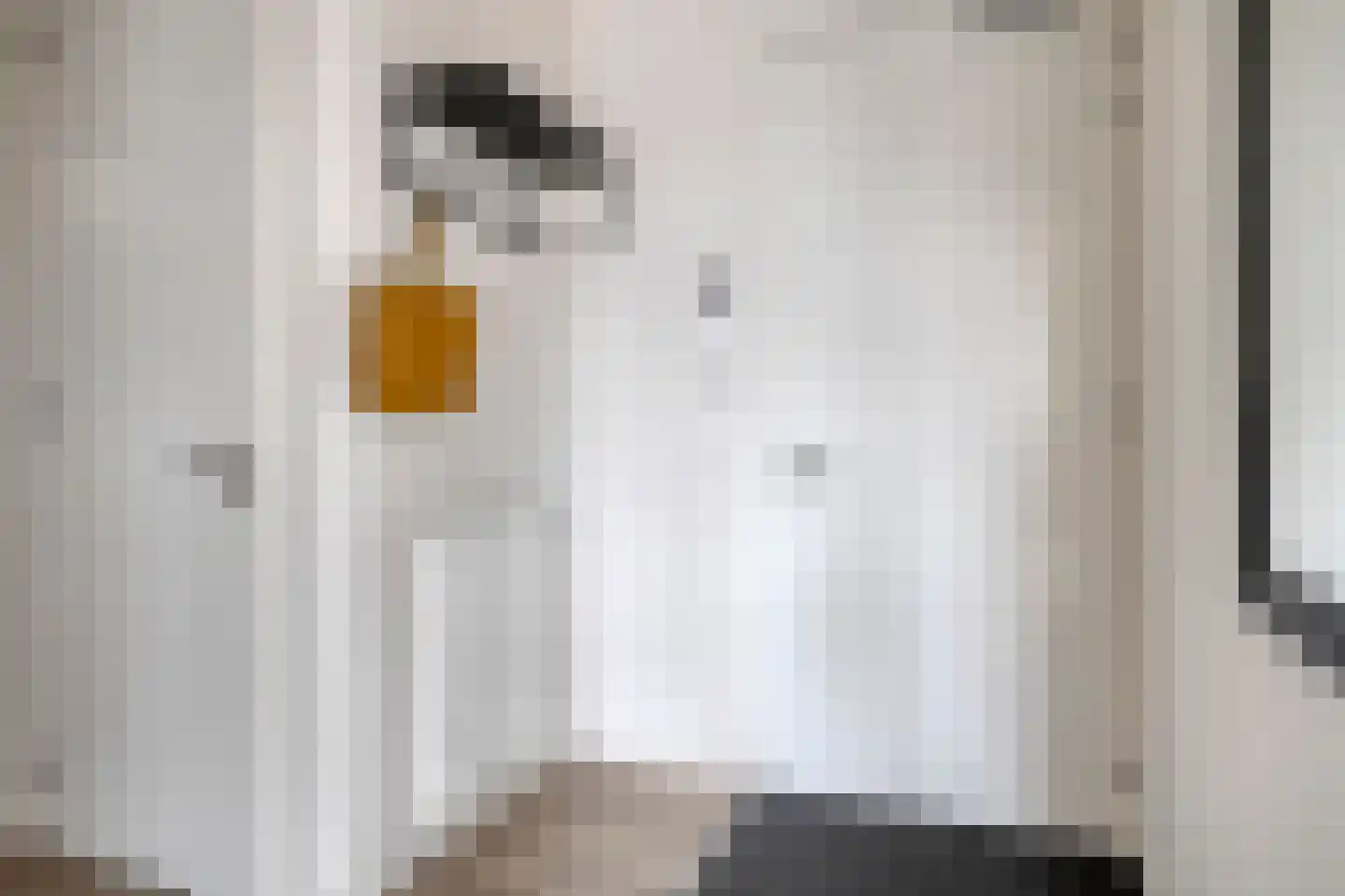 1e Zandstraat 20 202 Breskens thumbnail 23