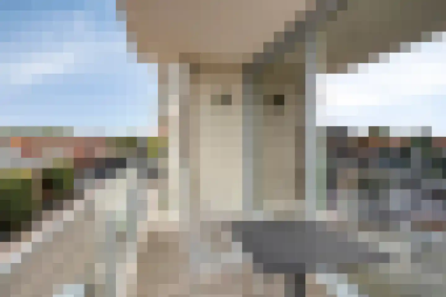 1e Zandstraat 20 202 Breskens thumbnail 25