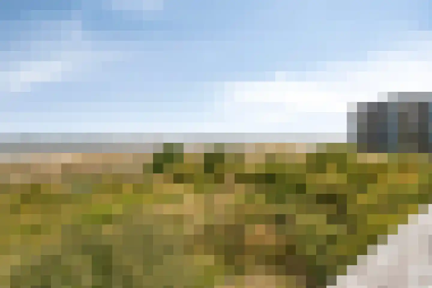 1e Zandstraat 20 202 Breskens thumbnail 30