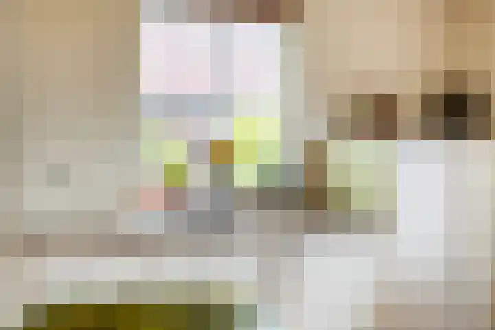 1e Zandwijkje 6 Hollandscheveld thumbnail 13