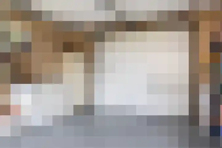 1e Zandwijkje 6 Hollandscheveld thumbnail 19