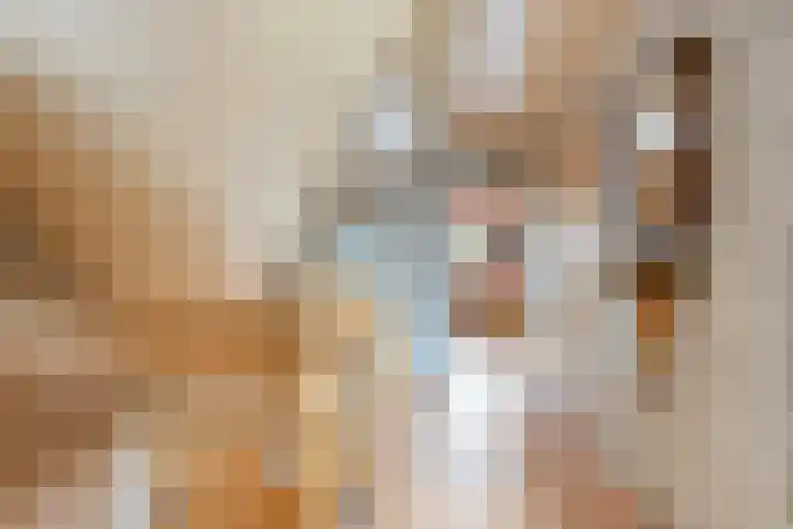1e Zandwijkje 6 Hollandscheveld thumbnail 22