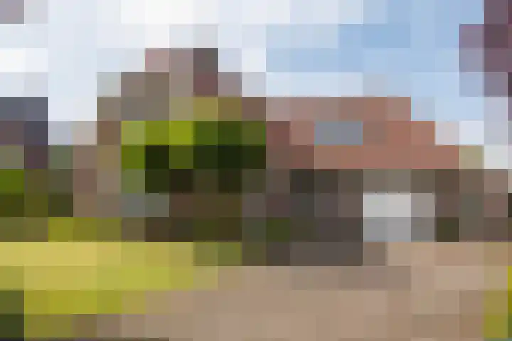 1e Zandwijkje 6 Hollandscheveld foto 3