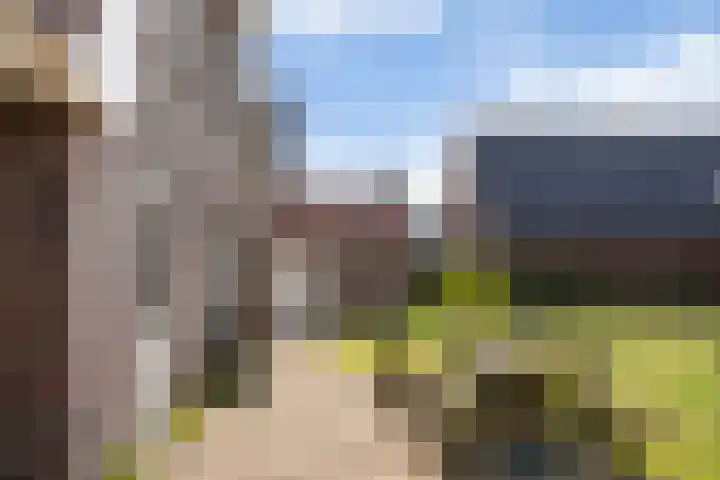 1e Zandwijkje 6 Hollandscheveld thumbnail 31