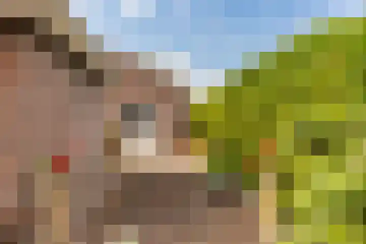 1e Zandwijkje 6 Hollandscheveld thumbnail 32