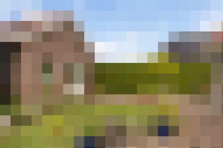 1e Zandwijkje 6 Hollandscheveld thumbnail 33