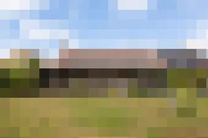 1e Zandwijkje 6 Hollandscheveld thumbnail 34
