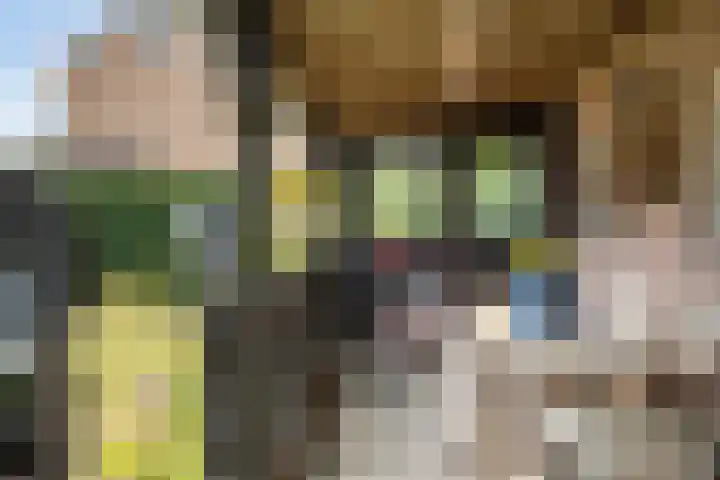1e Zandwijkje 6 Hollandscheveld thumbnail 36