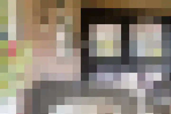 1e Zandwijkje 6 Hollandscheveld thumbnail 37