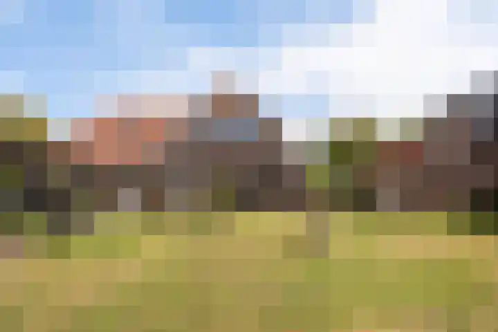 1e Zandwijkje 6 Hollandscheveld thumbnail 39