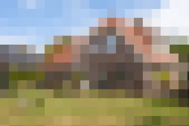 1e Zandwijkje 6 Hollandscheveld thumbnail 4