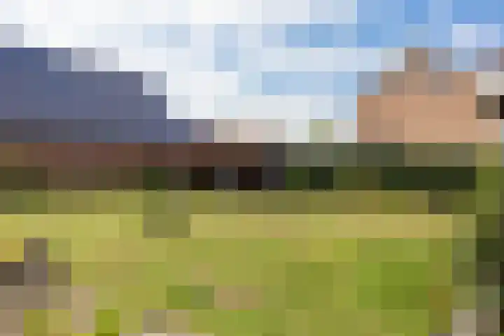 1e Zandwijkje 6 Hollandscheveld thumbnail 40