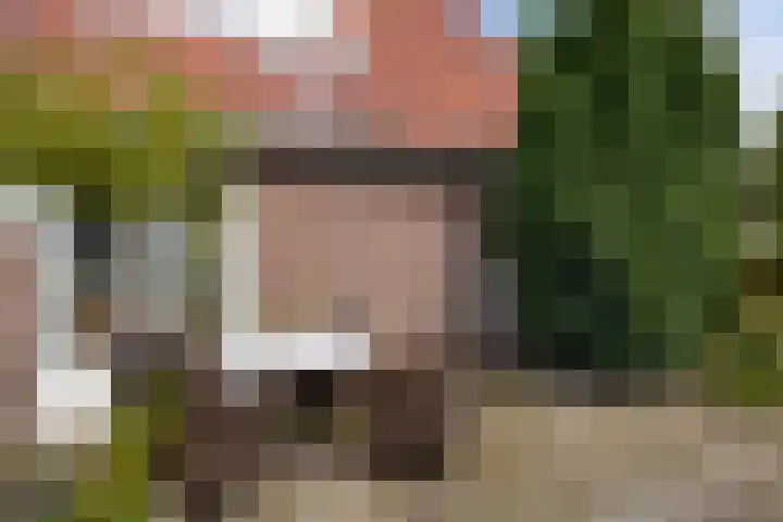 1e Zandwijkje 6 Hollandscheveld thumbnail 41