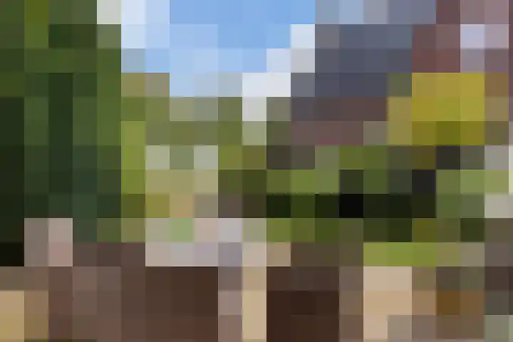 1e Zandwijkje 6 Hollandscheveld thumbnail 42