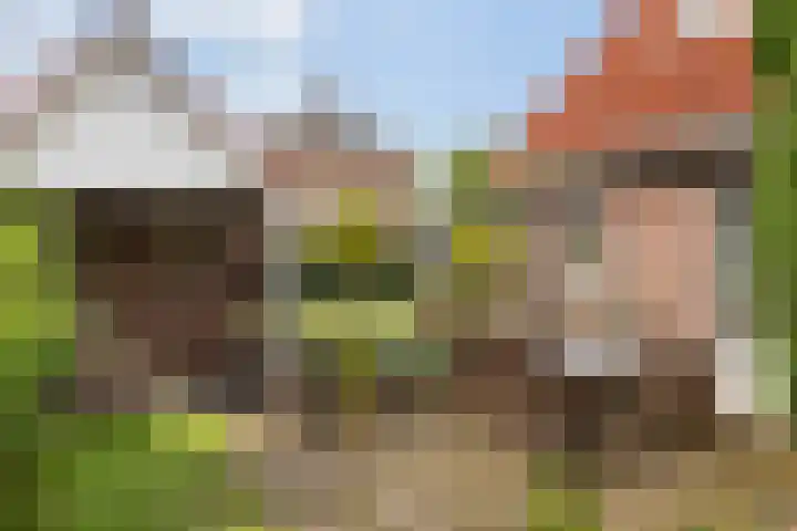 1e Zandwijkje 6 Hollandscheveld thumbnail 43