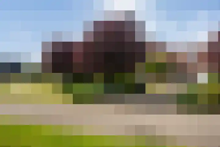 1e Zandwijkje 6 Hollandscheveld thumbnail 44
