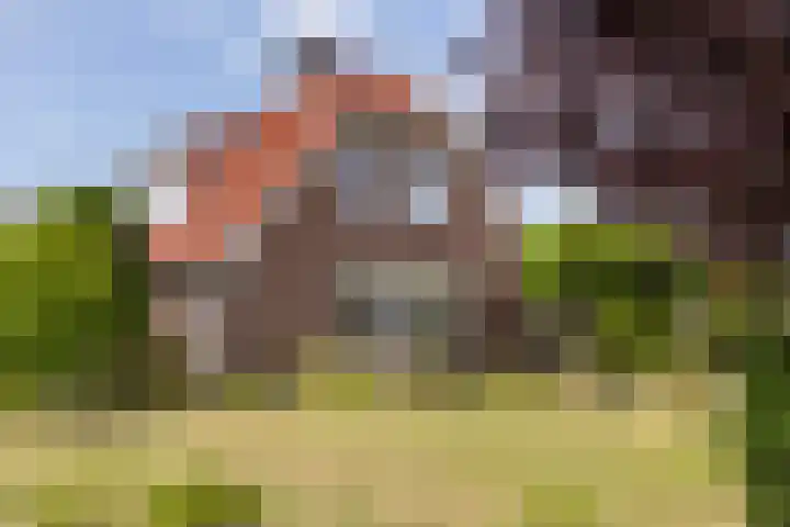 1e Zandwijkje 6 Hollandscheveld thumbnail 46