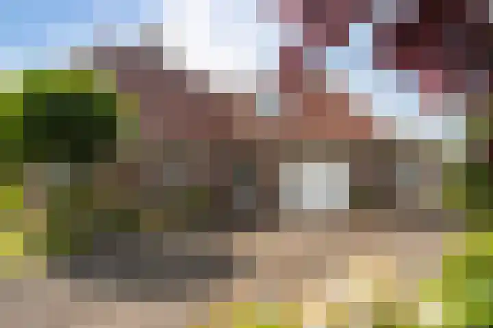 1e Zandwijkje 6 Hollandscheveld thumbnail 47