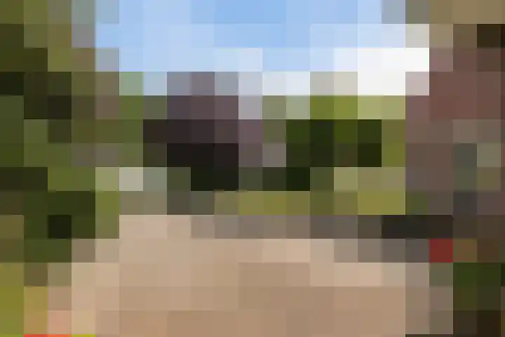 1e Zandwijkje 6 Hollandscheveld thumbnail 48
