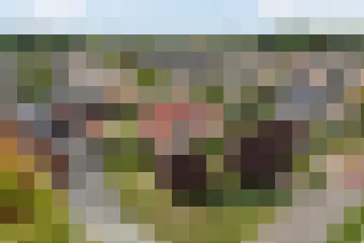 1e Zandwijkje 6 Hollandscheveld thumbnail 49