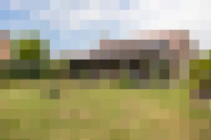 1e Zandwijkje 6 Hollandscheveld thumbnail 5
