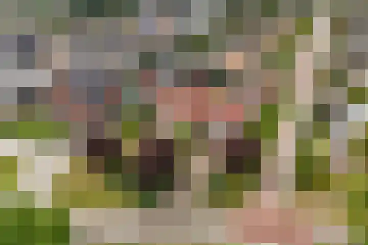 1e Zandwijkje 6 Hollandscheveld thumbnail 50