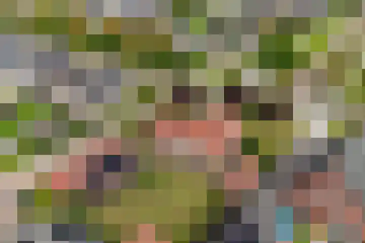 1e Zandwijkje 6 Hollandscheveld thumbnail 52
