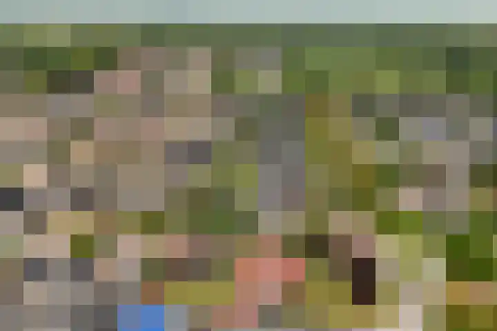 1e Zandwijkje 6 Hollandscheveld thumbnail 53