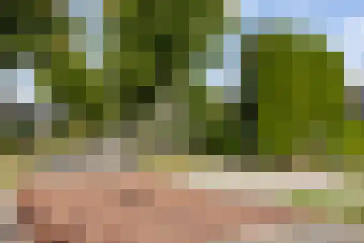 1e Zandwijkje 6 Hollandscheveld thumbnail 55