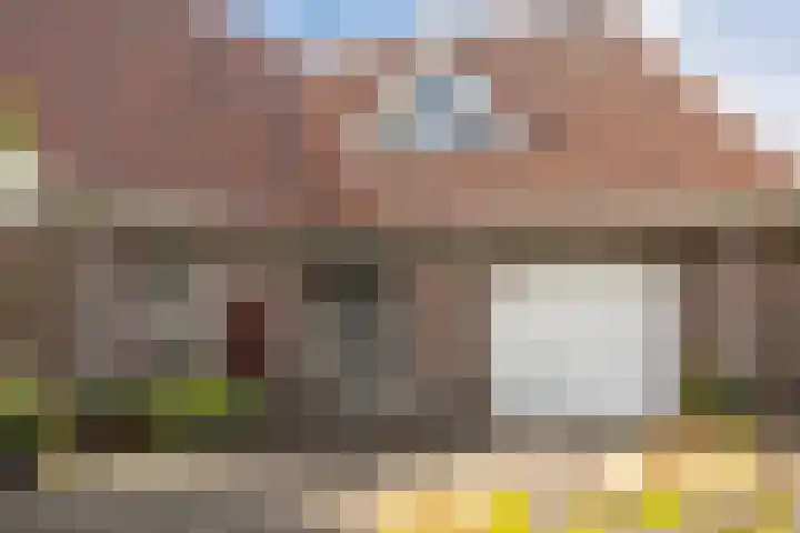 1e Zandwijkje 6 Hollandscheveld thumbnail 6