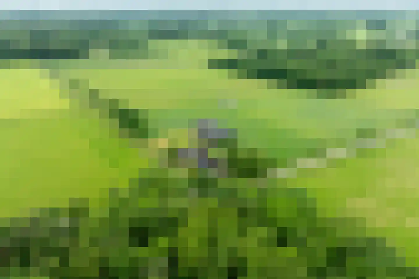 1e Zuider Pierkesmarsweg 1 Bathmen thumbnail 10