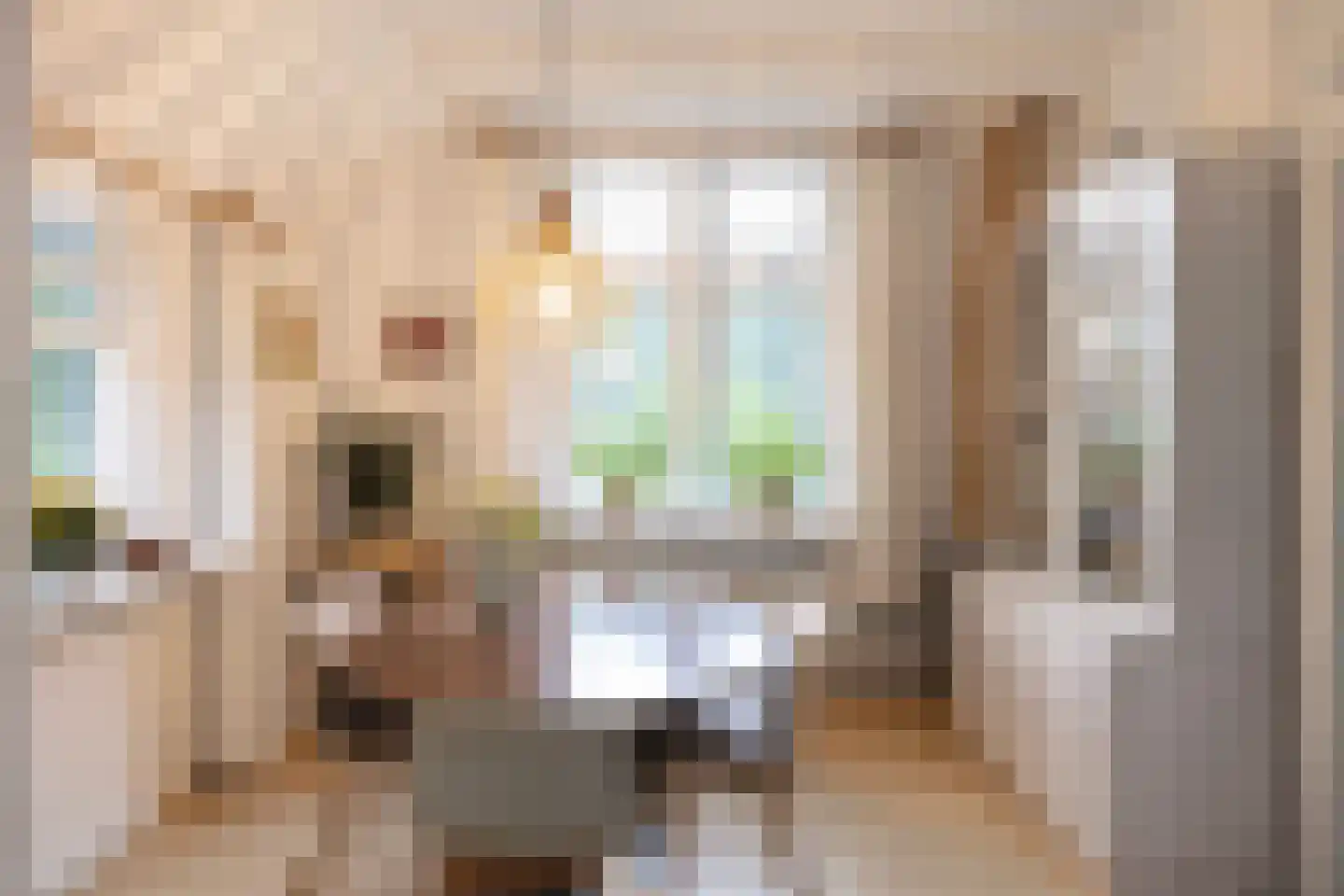 1e Zuider Pierkesmarsweg 1 Bathmen thumbnail 19