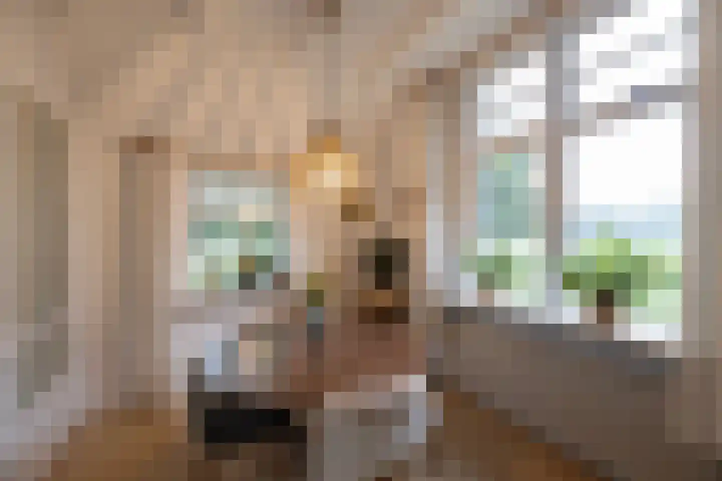 1e Zuider Pierkesmarsweg 1 Bathmen thumbnail 20